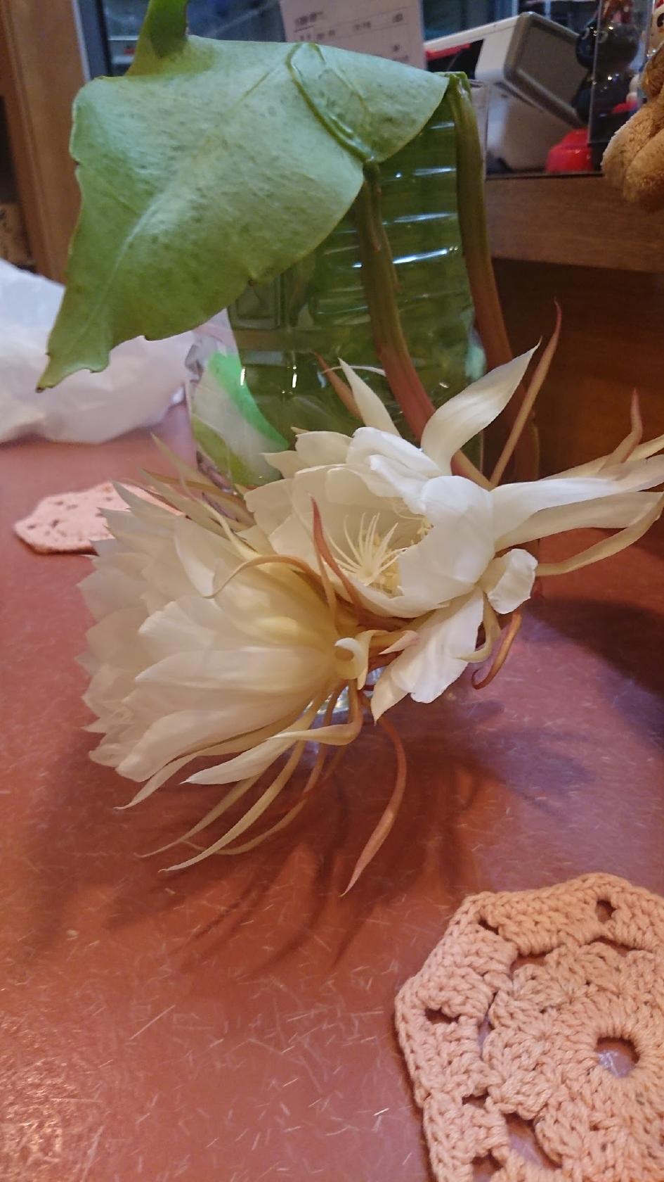 Google の写真