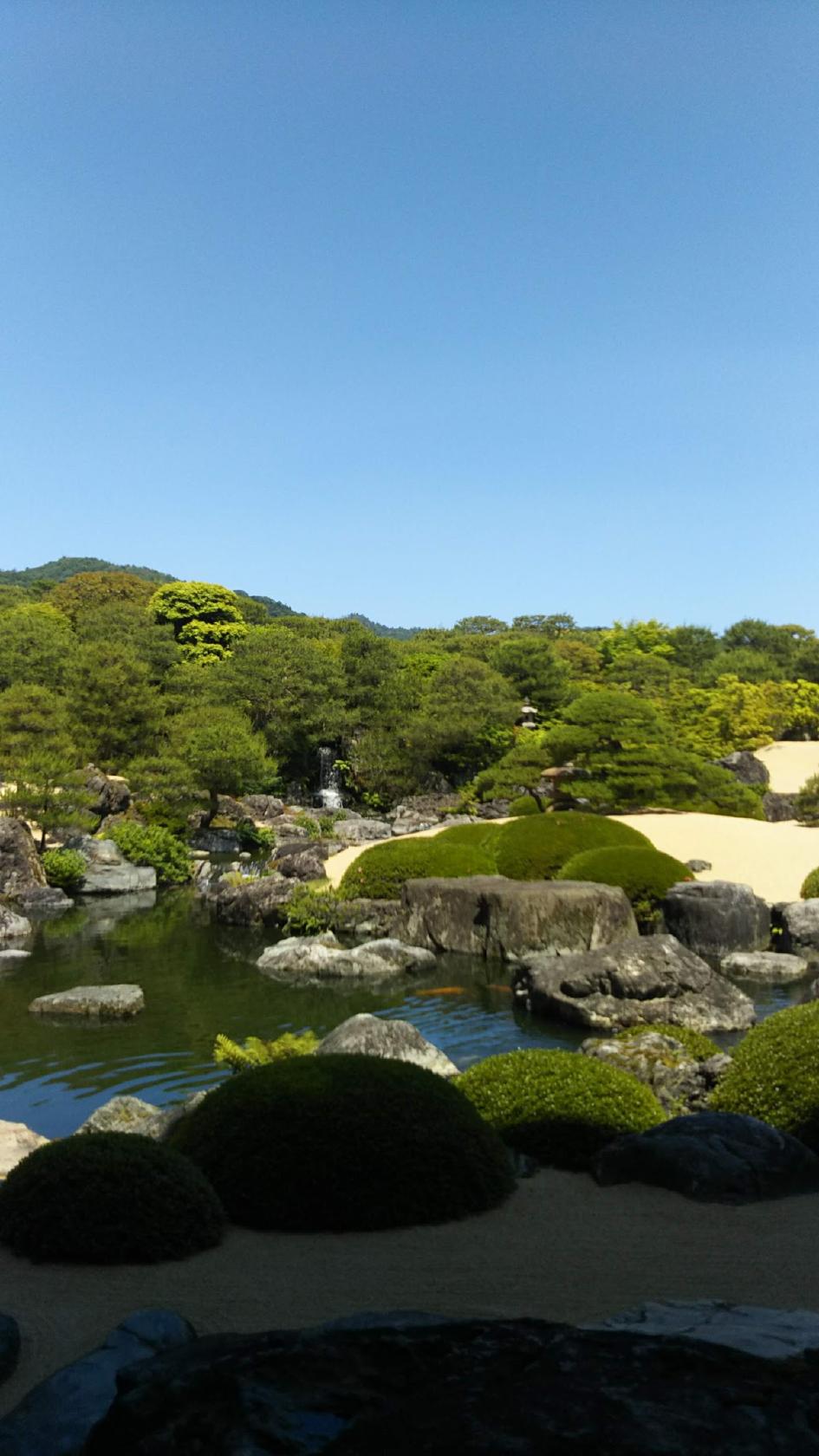 Google の写真