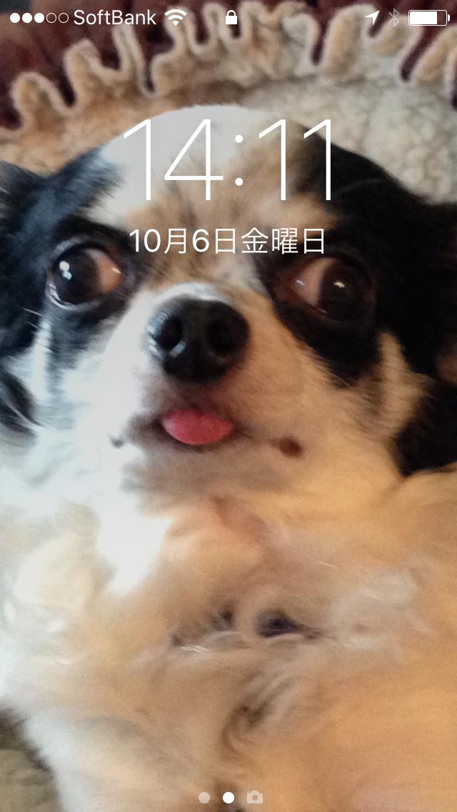 Google の写真