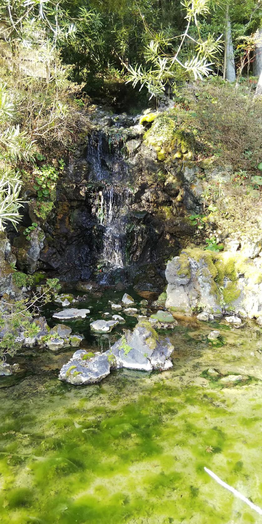 Google の写真