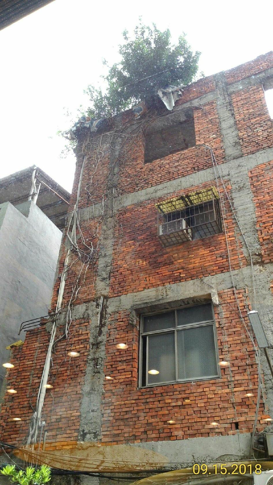 Google の写真