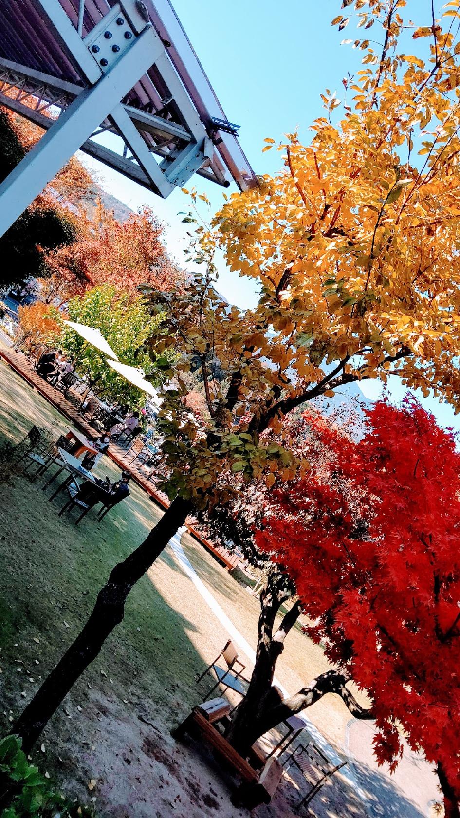 Google の写真