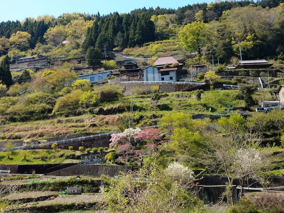 Google の写真