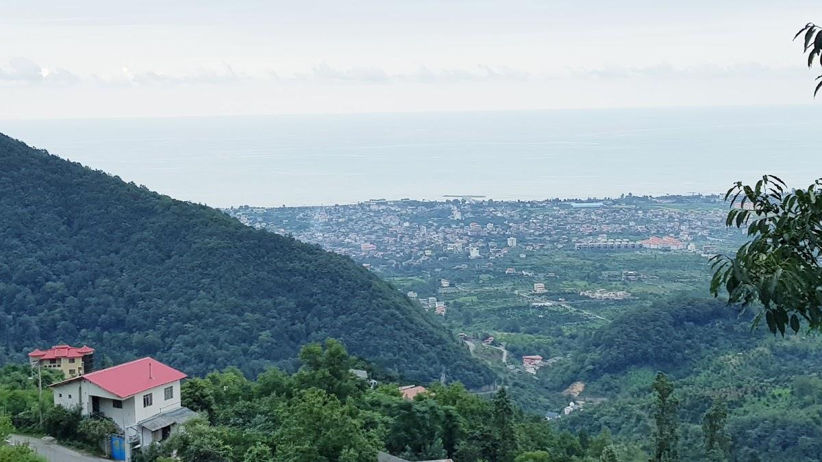 Photo from Google
