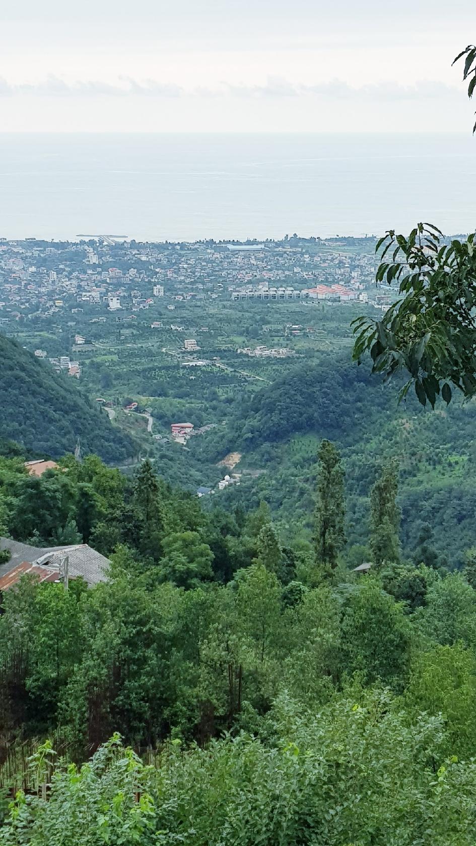 Photo from Google