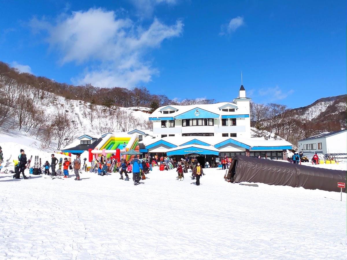 Google の写真