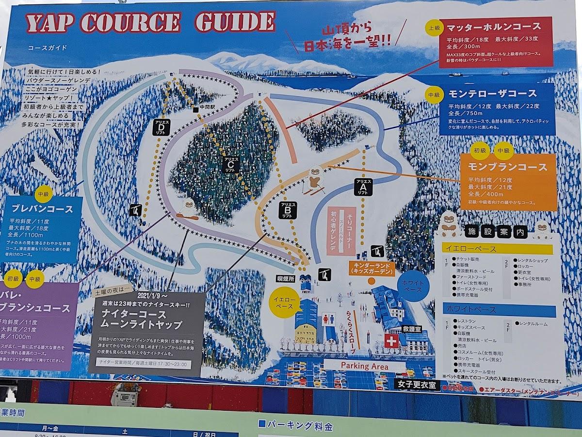 Google の写真