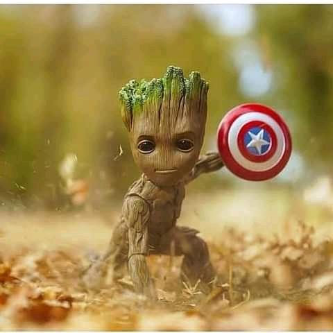 Foto de Google