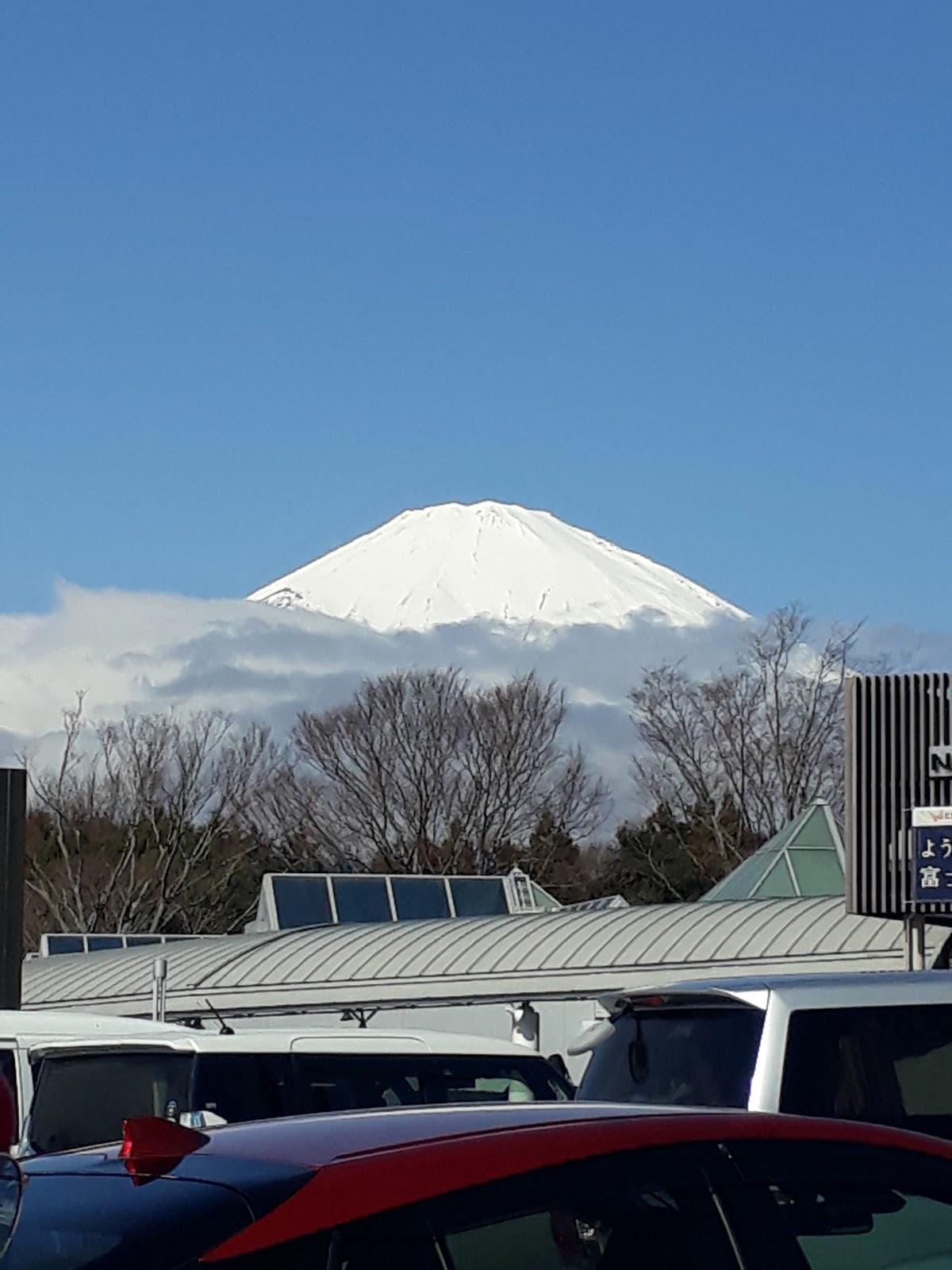 Google の写真