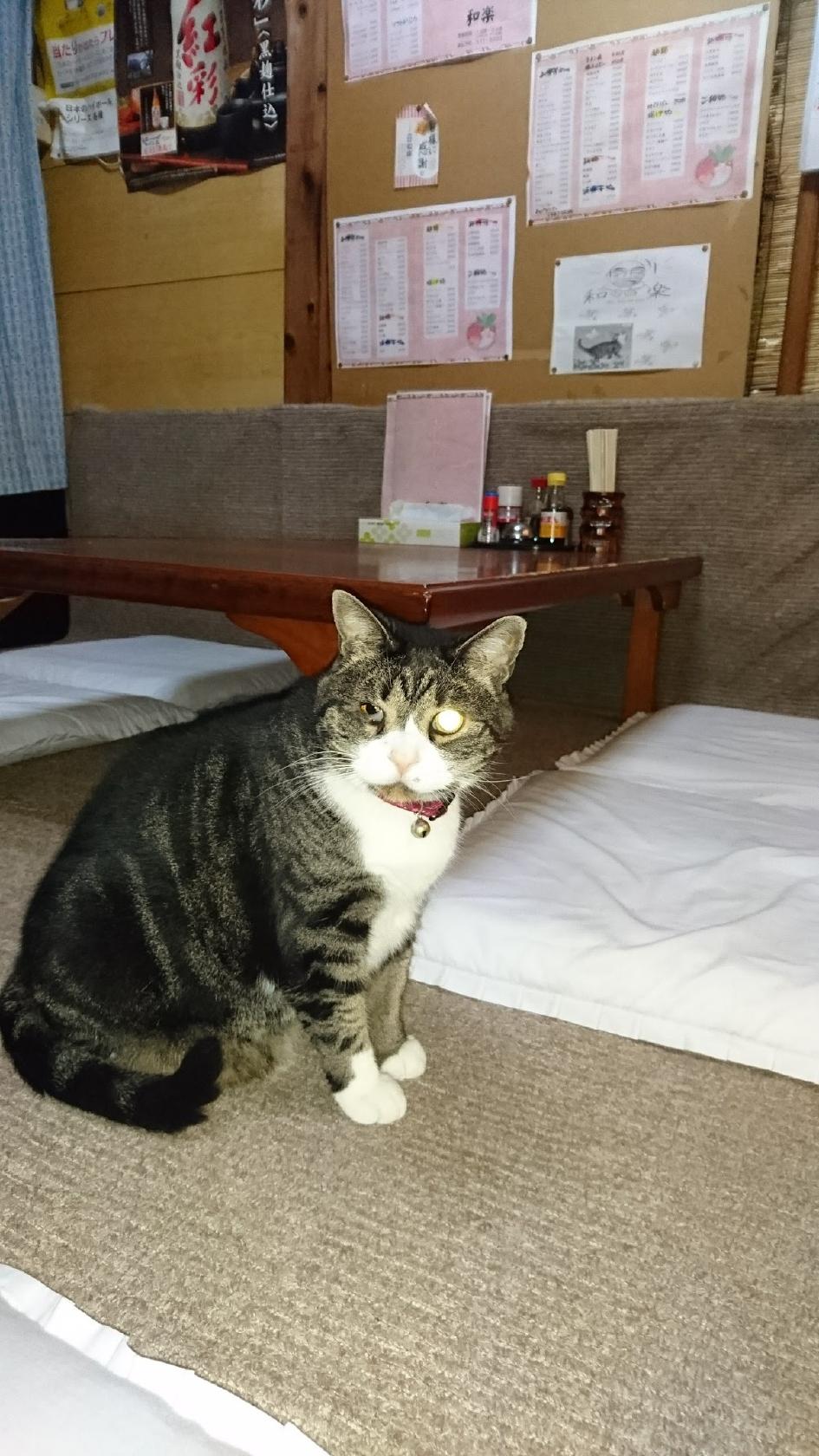 Google の写真