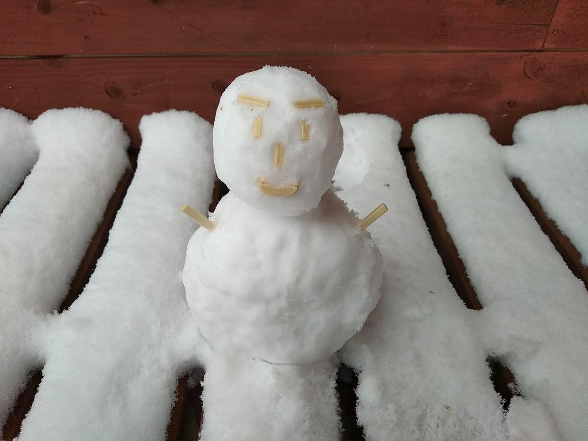 Google の写真