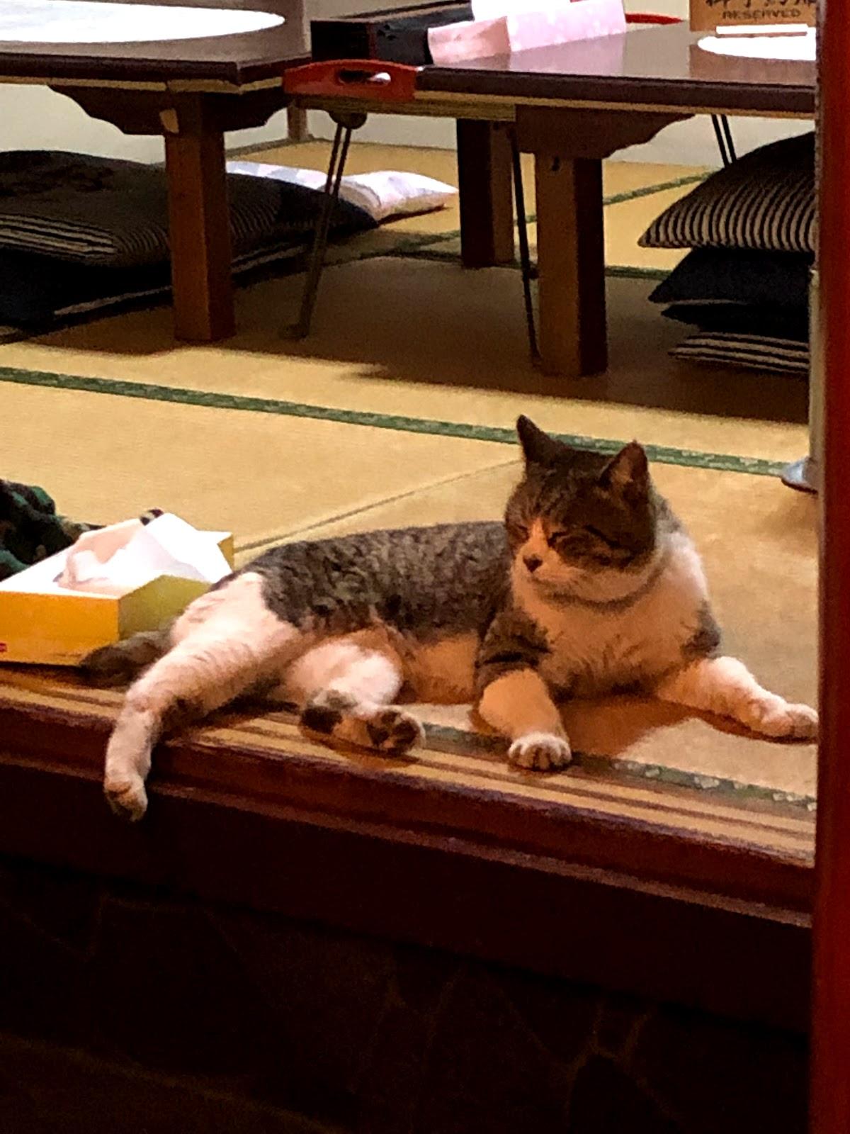Google の写真