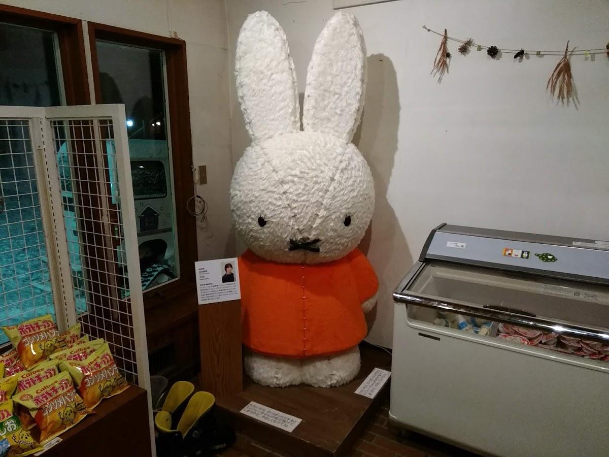 Google の写真