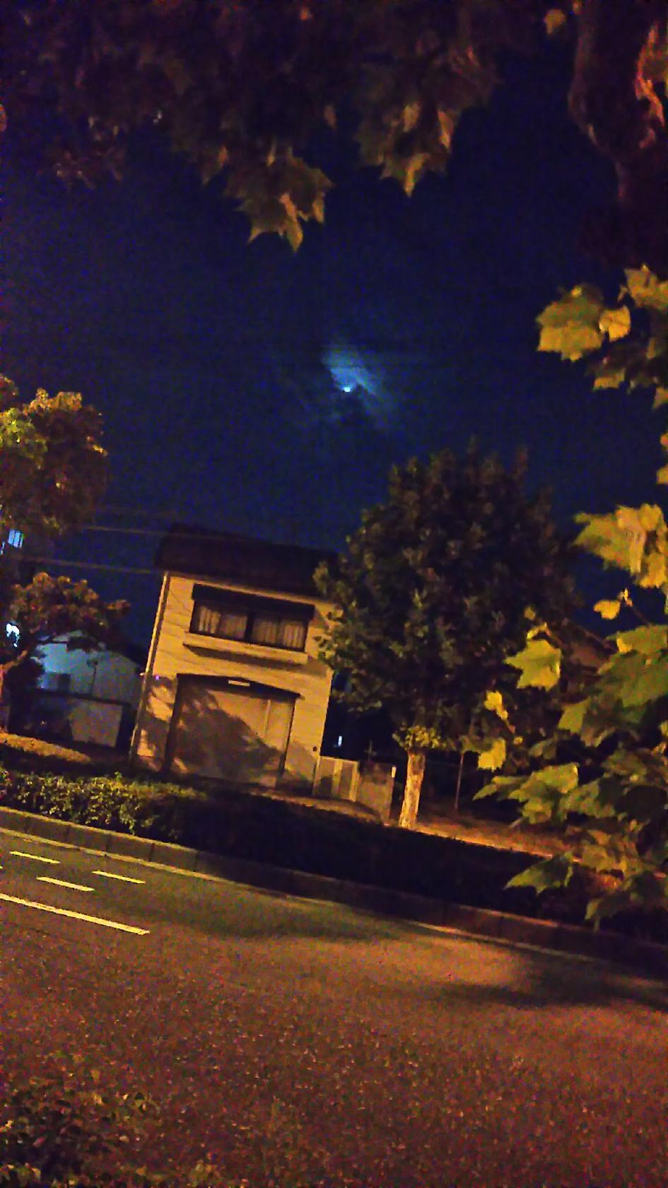 Google の写真