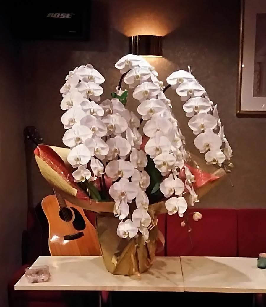 Google の写真