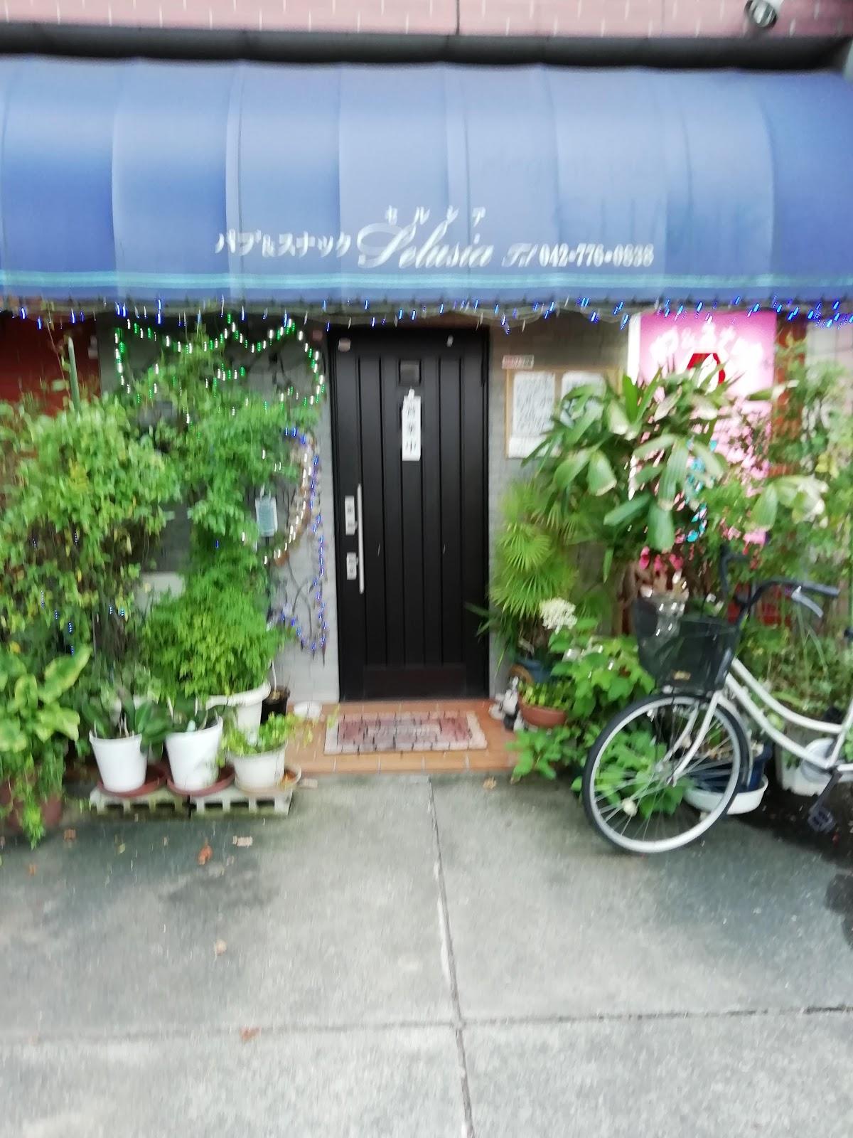 Google の写真