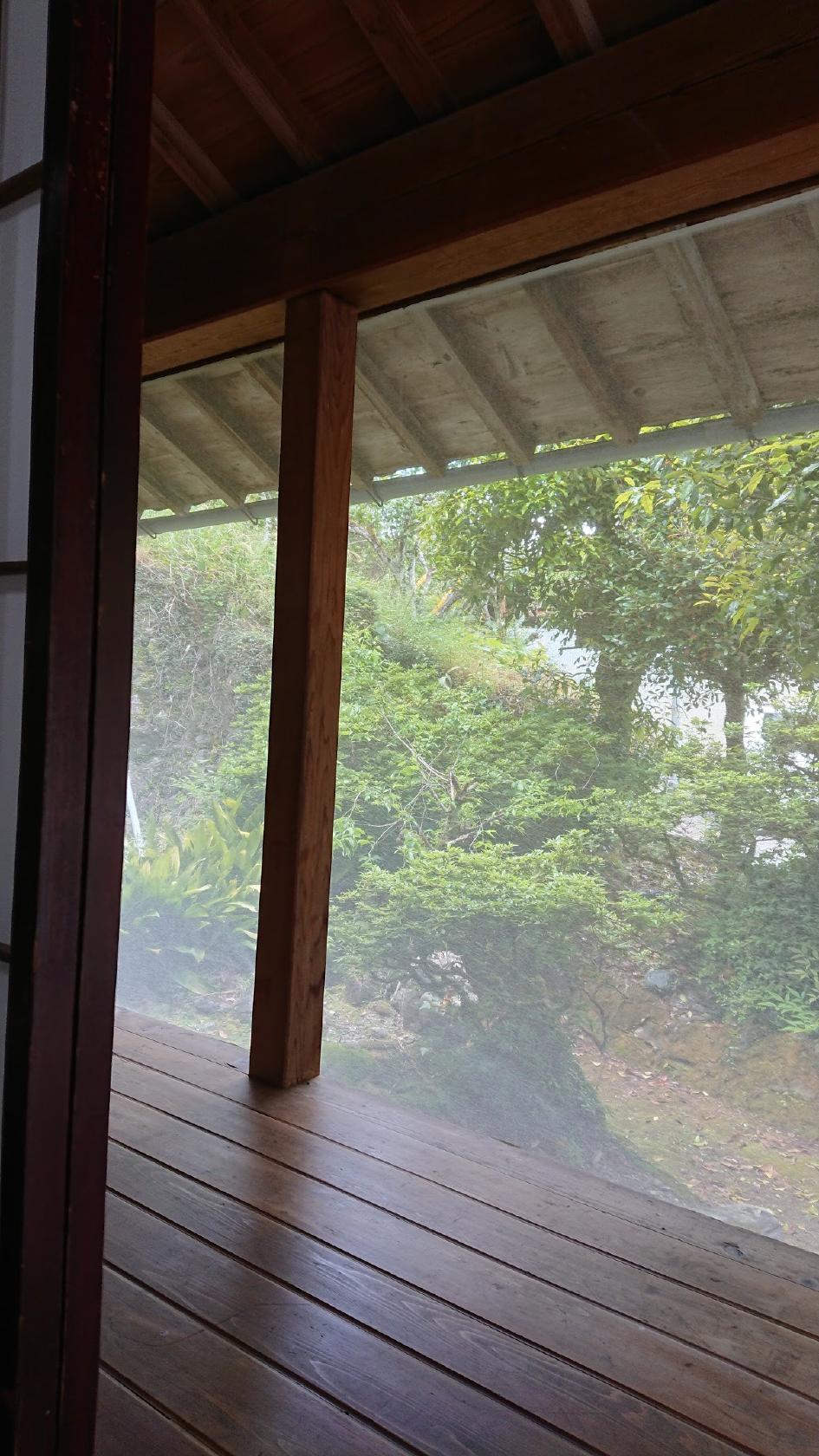Google の写真