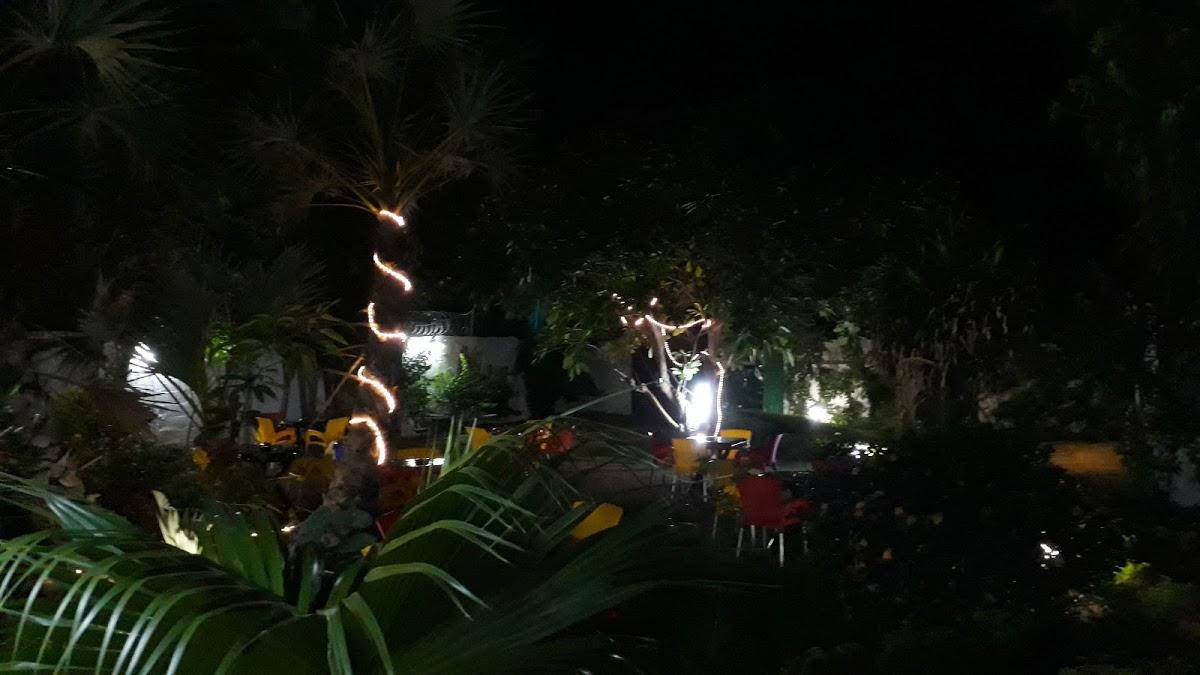 Photo from Google