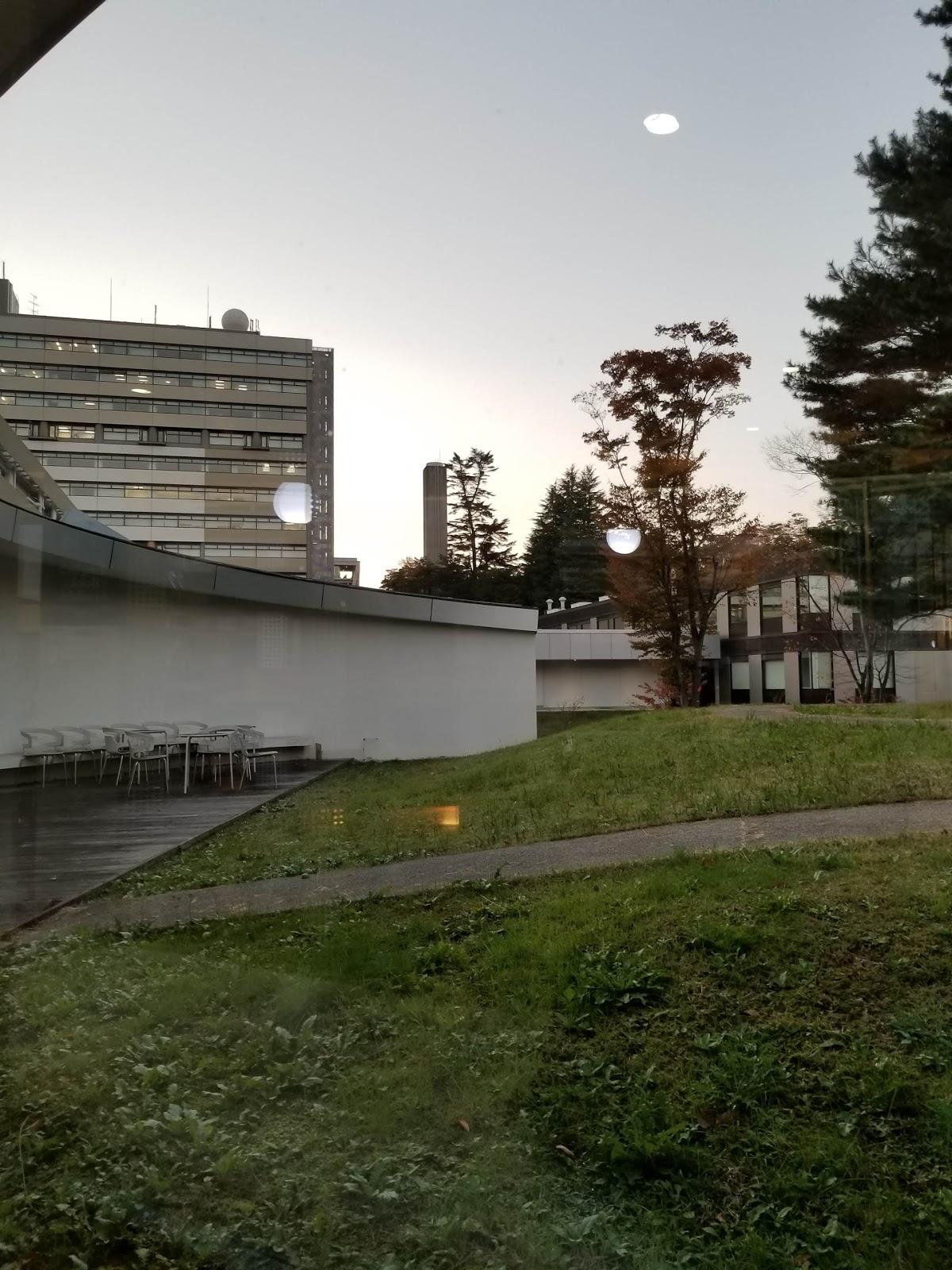 Google の写真