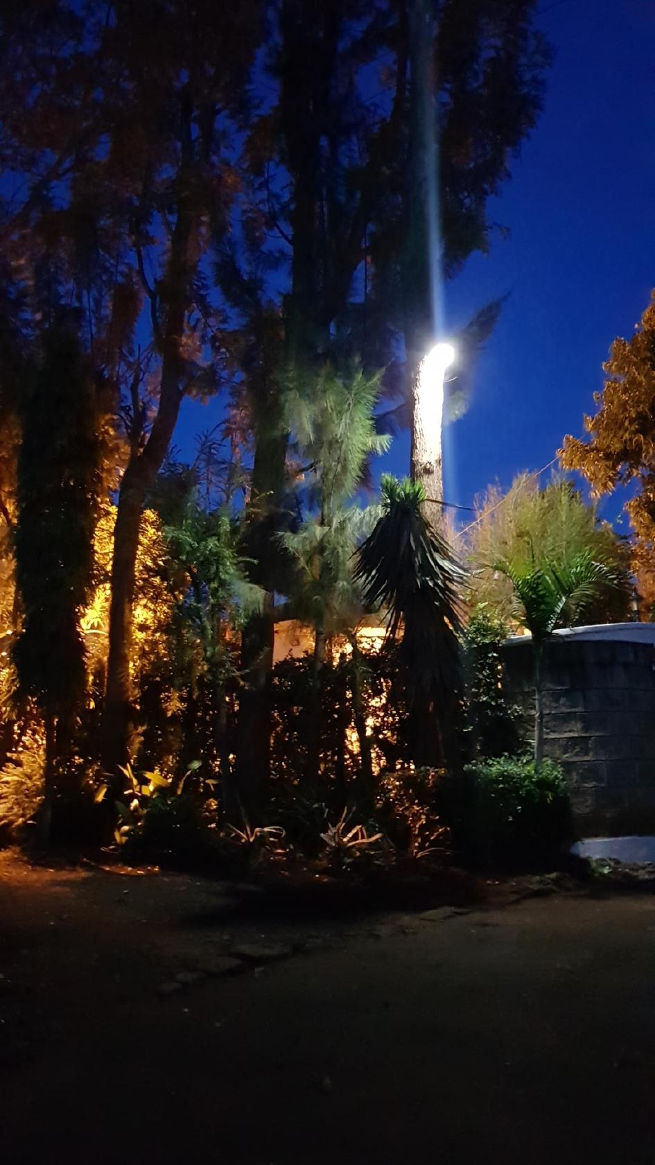 Photo from Google