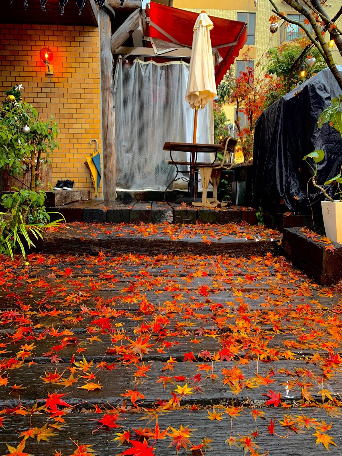 Google の写真