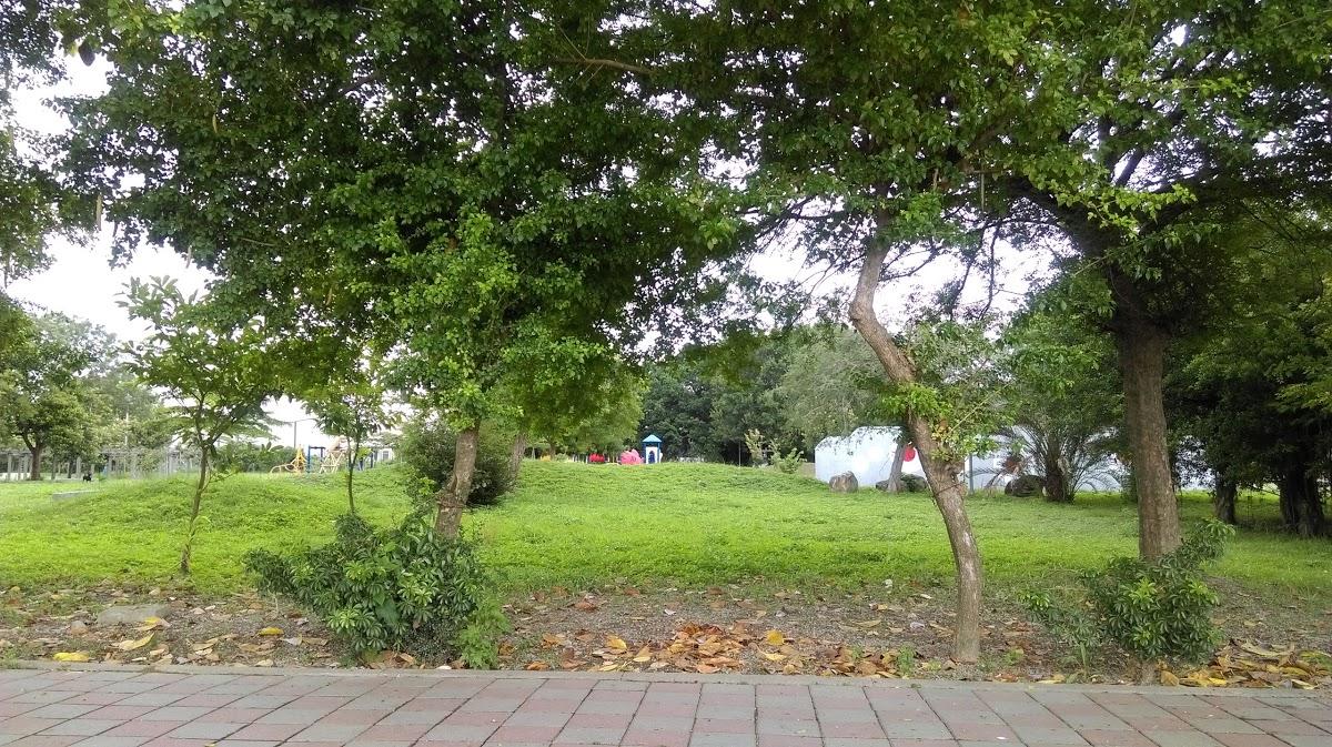 Google の写真