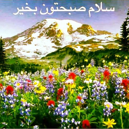 Photo from Google
