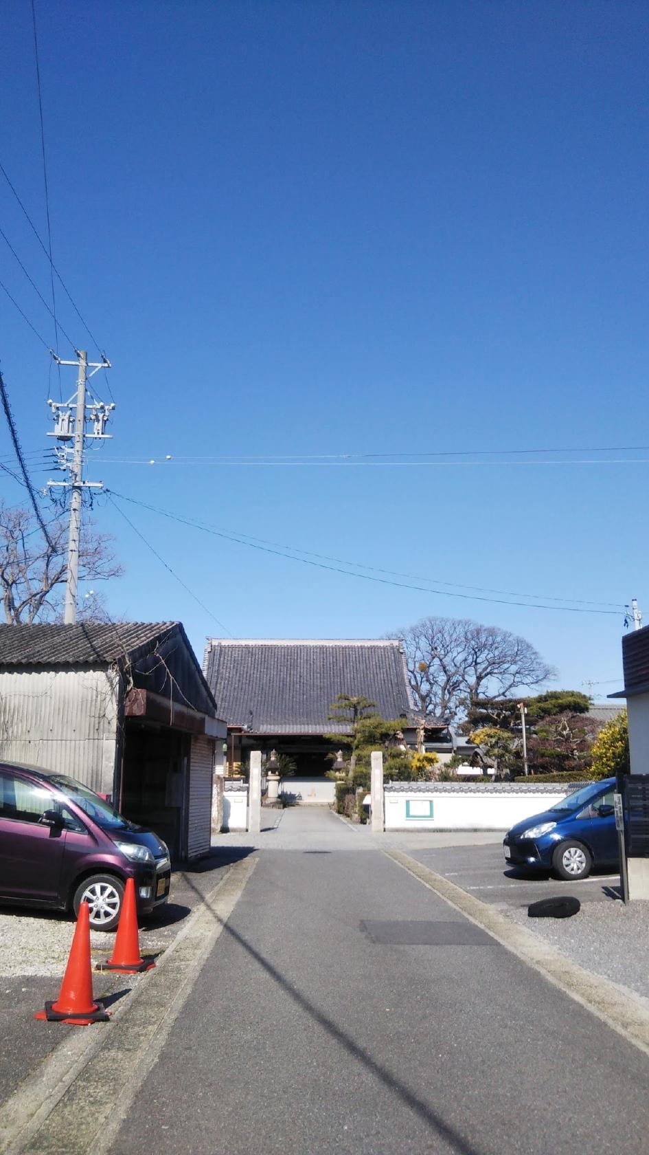 Google の写真