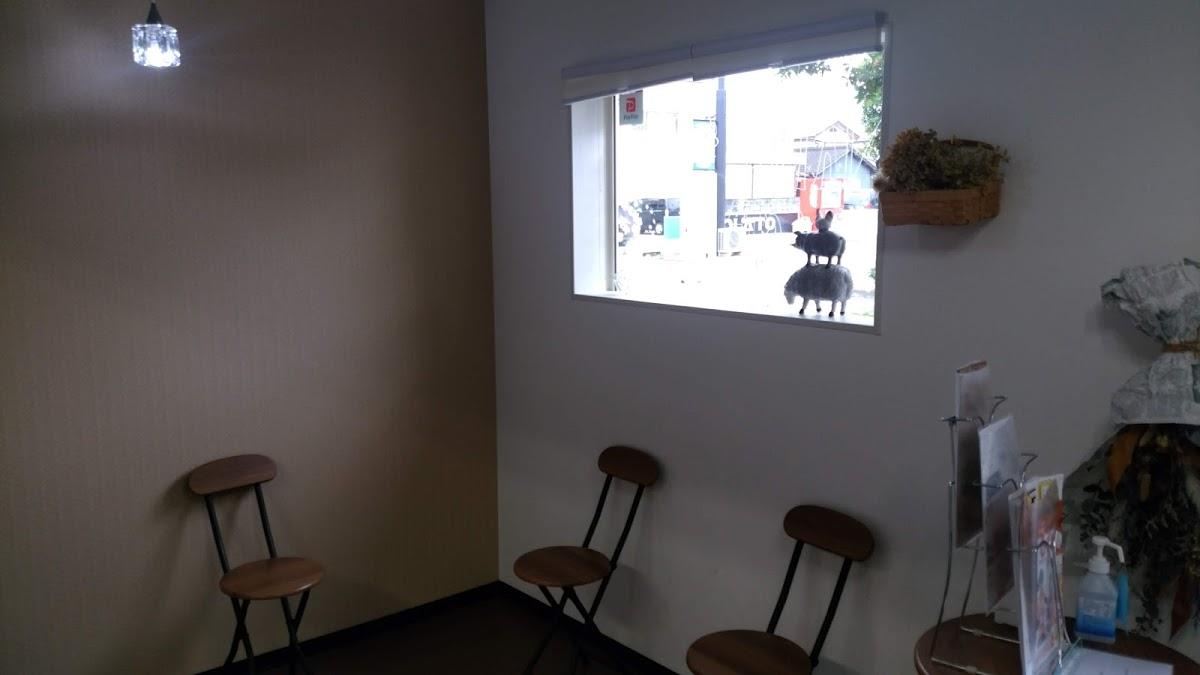 Google の写真