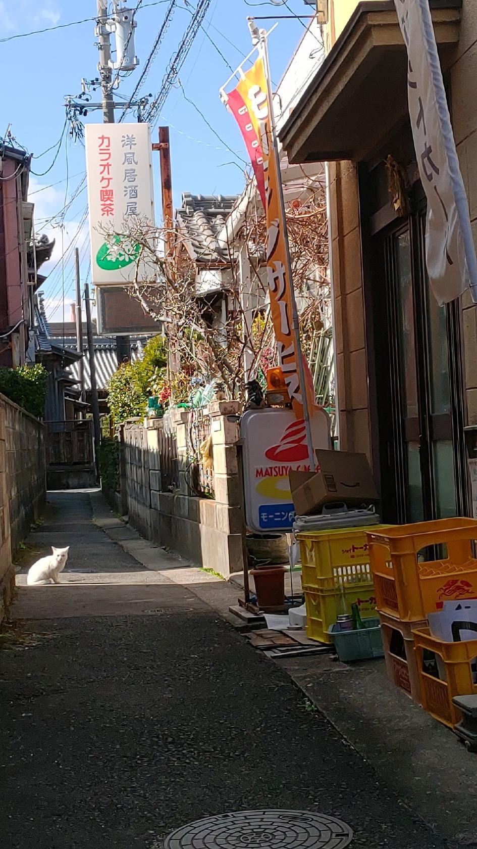 Google の写真