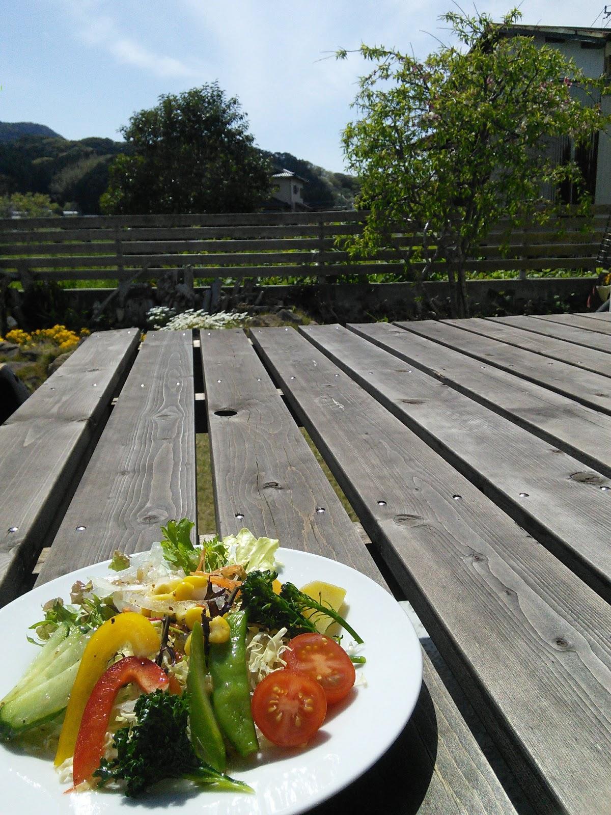 Google の写真