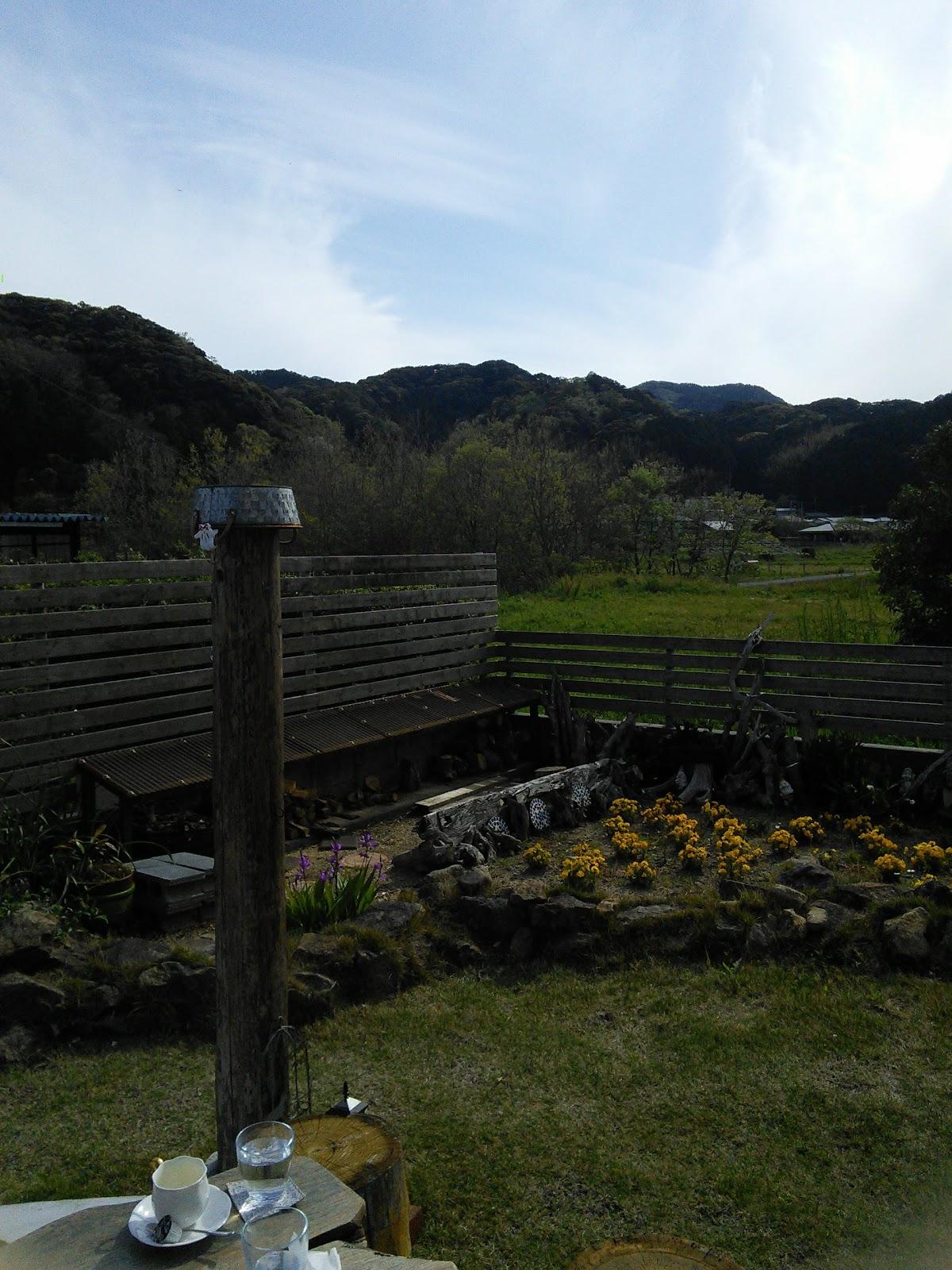 Google の写真