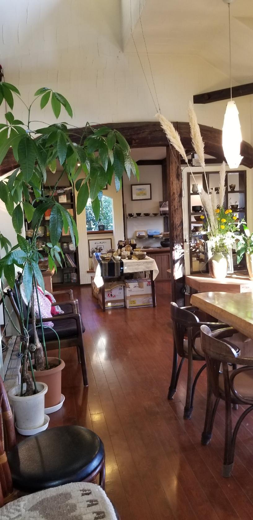 Google の写真
