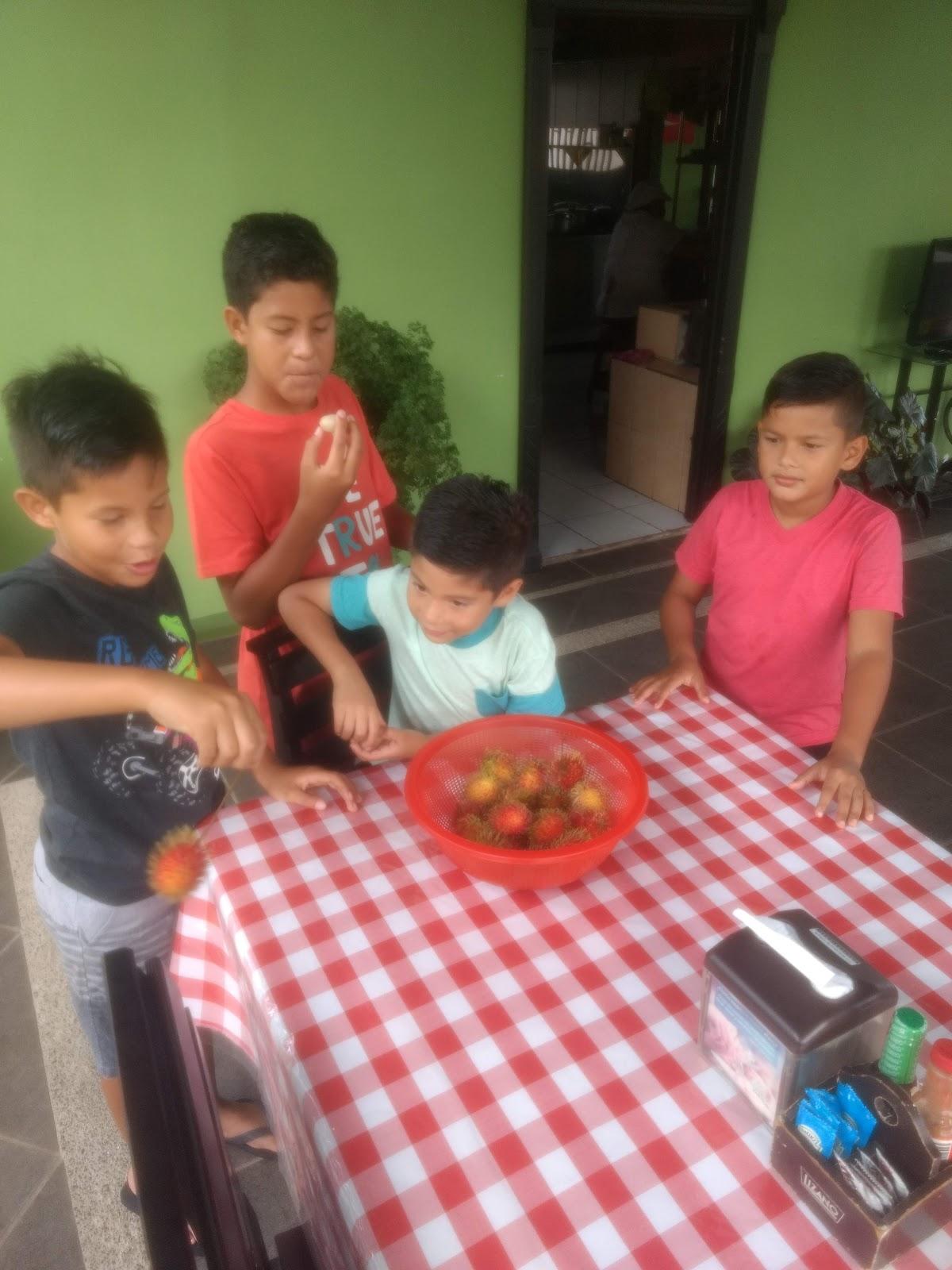Photo from Google