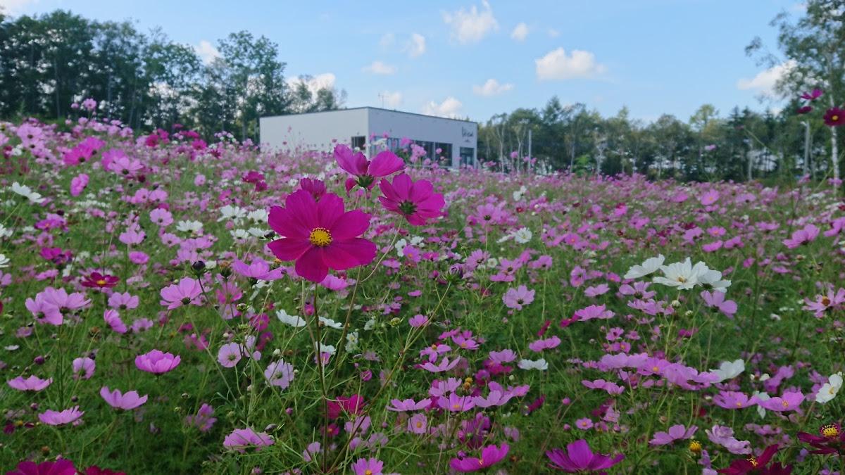 Google の写真