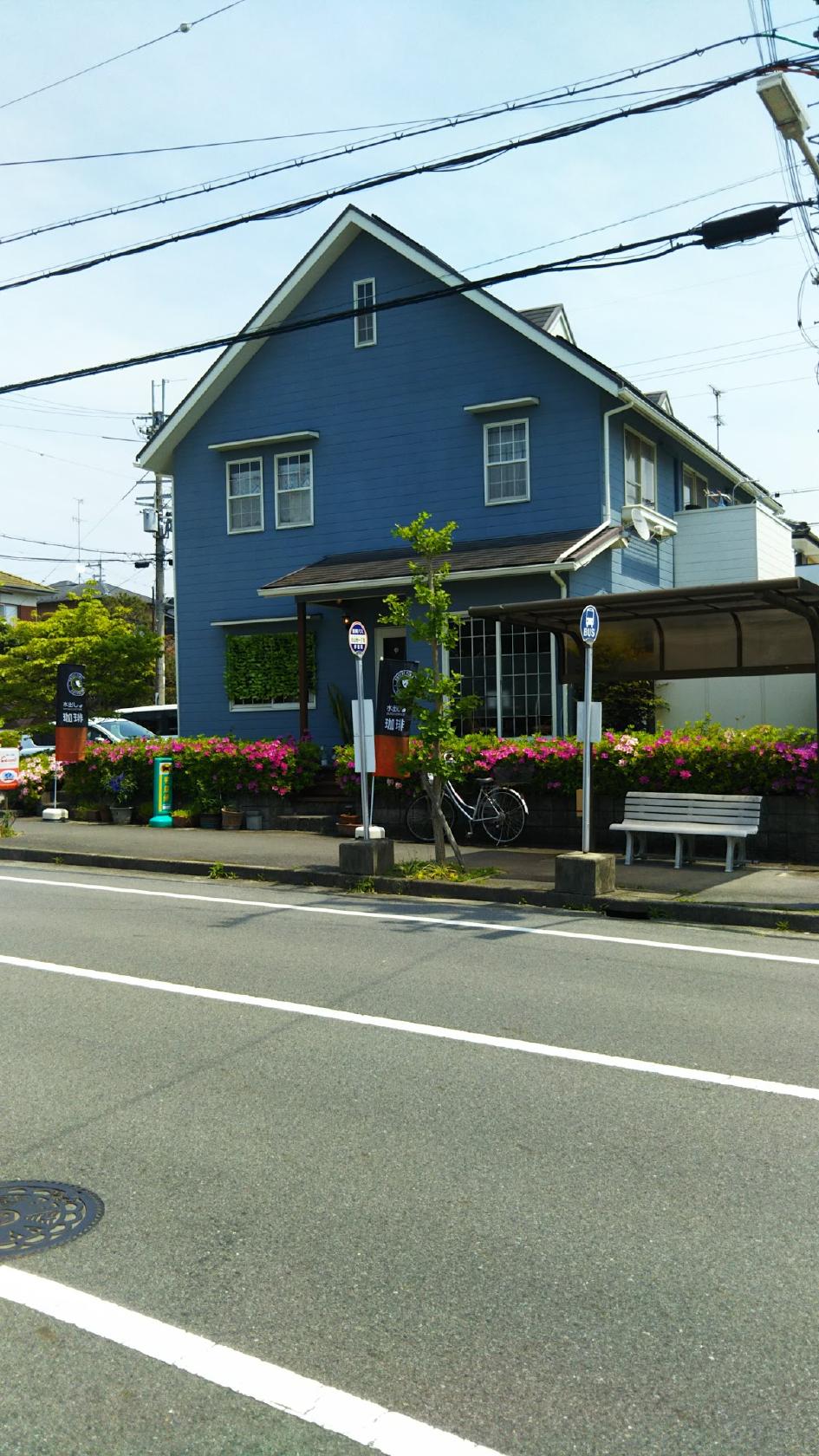 Google の写真