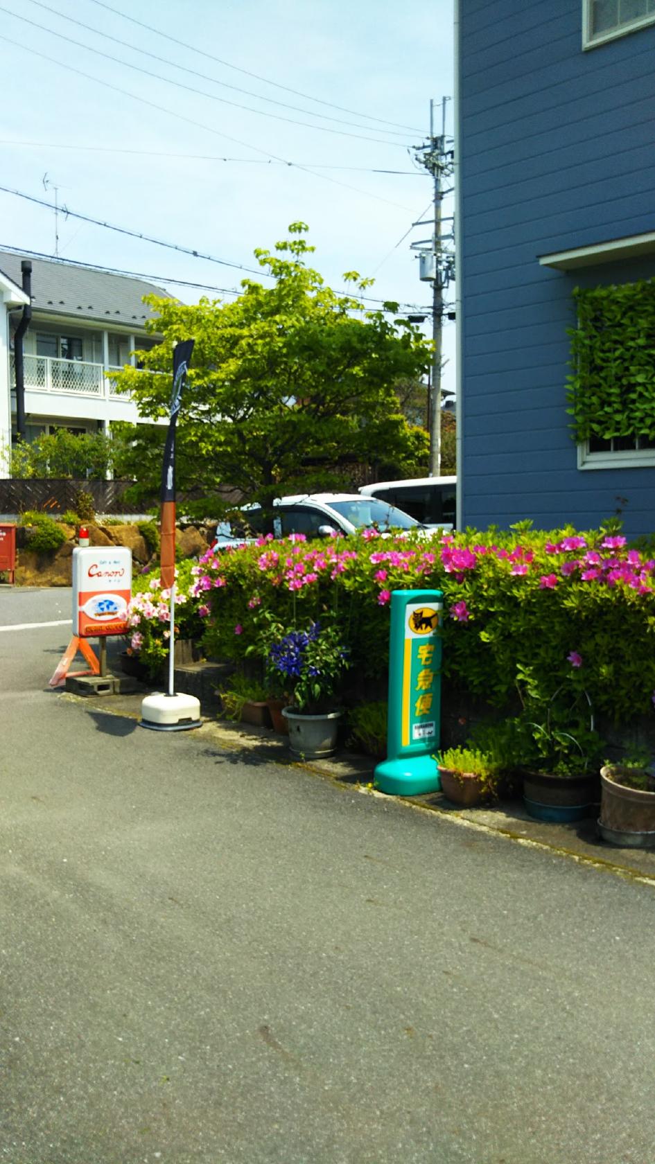 Google の写真