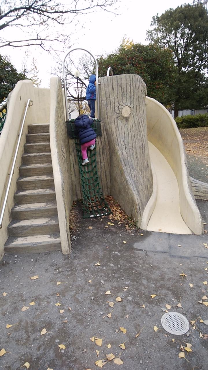 Google の写真