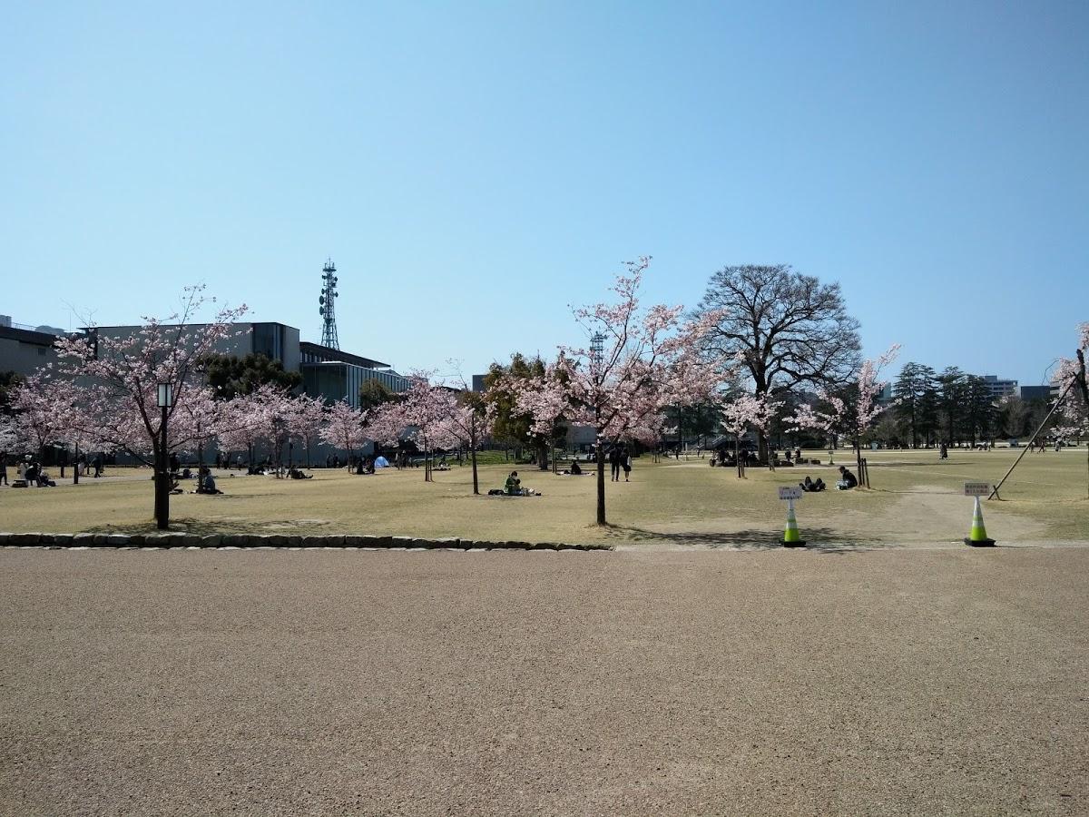 Google の写真