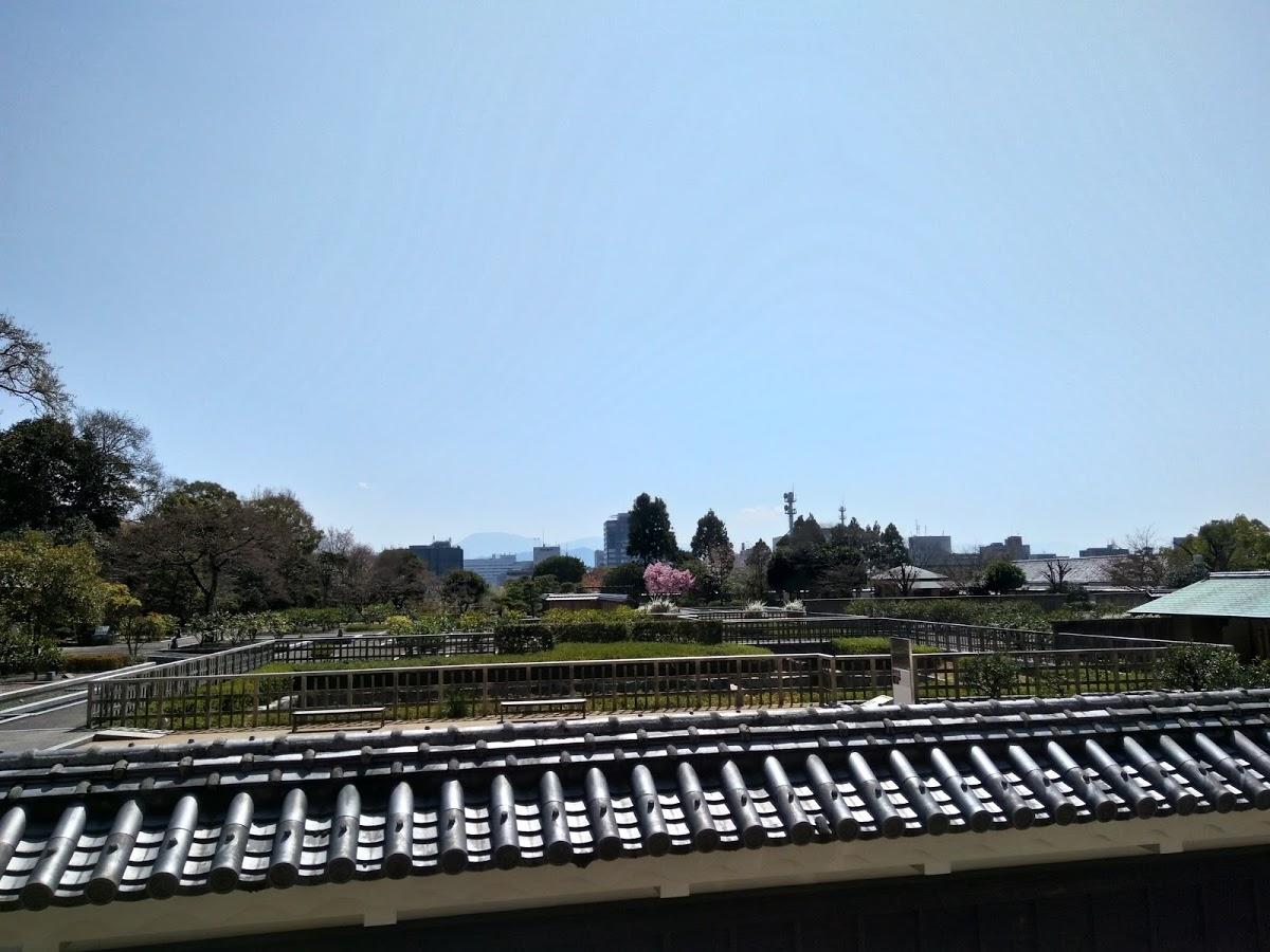 Google の写真