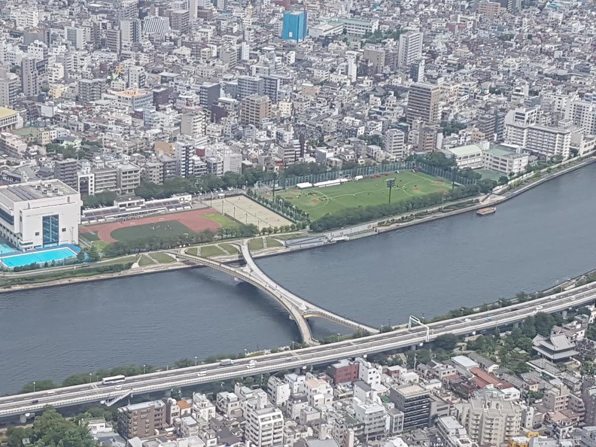 Google の写真