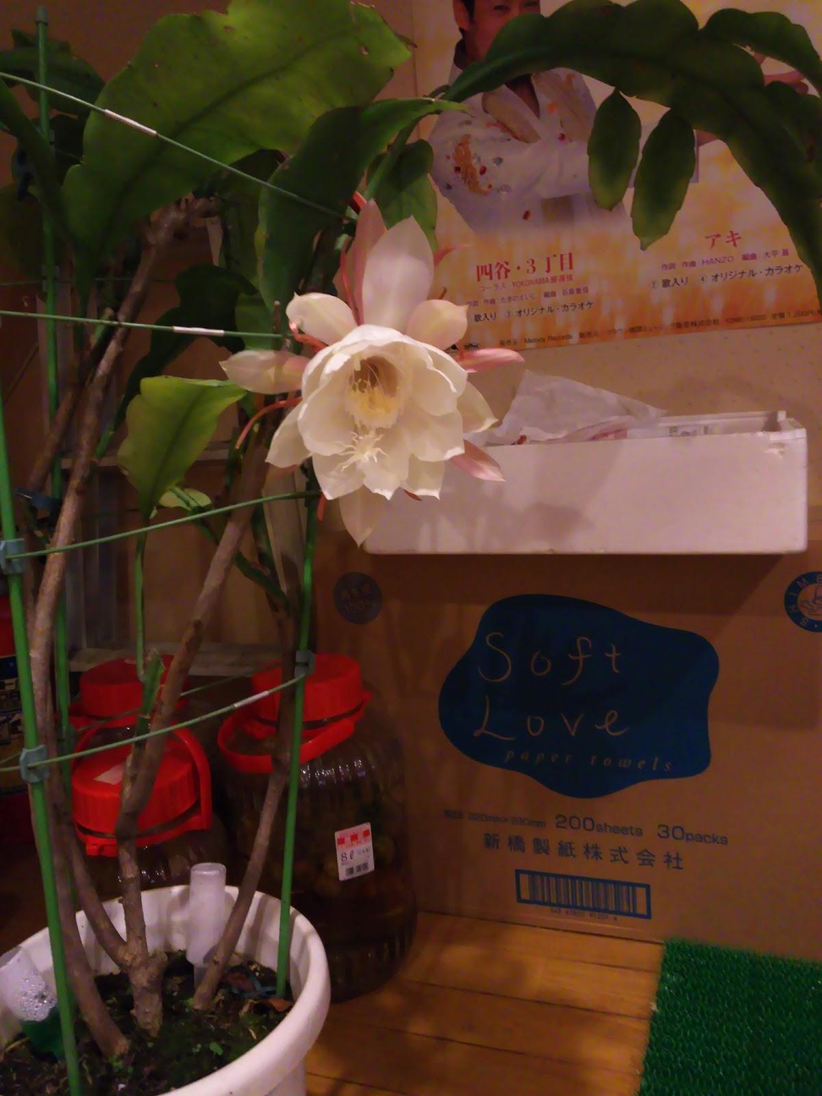 Google の写真