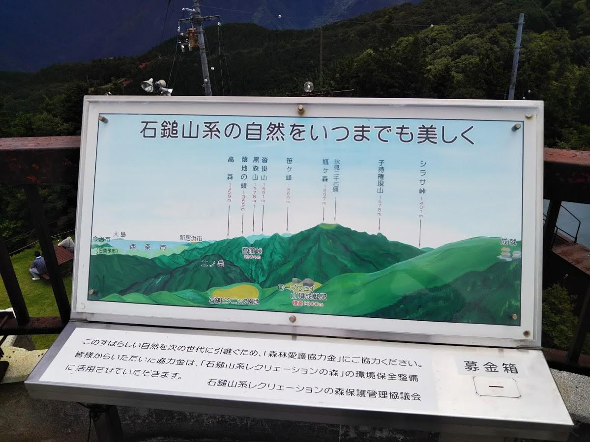 Google の写真