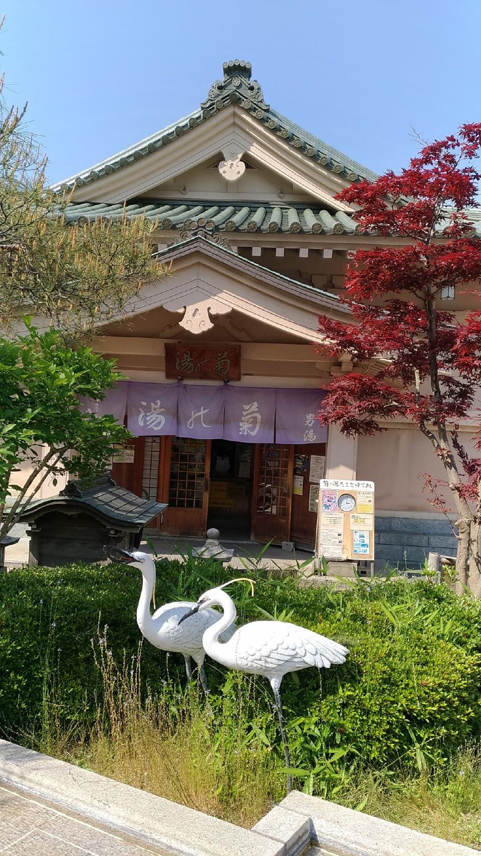Google の写真