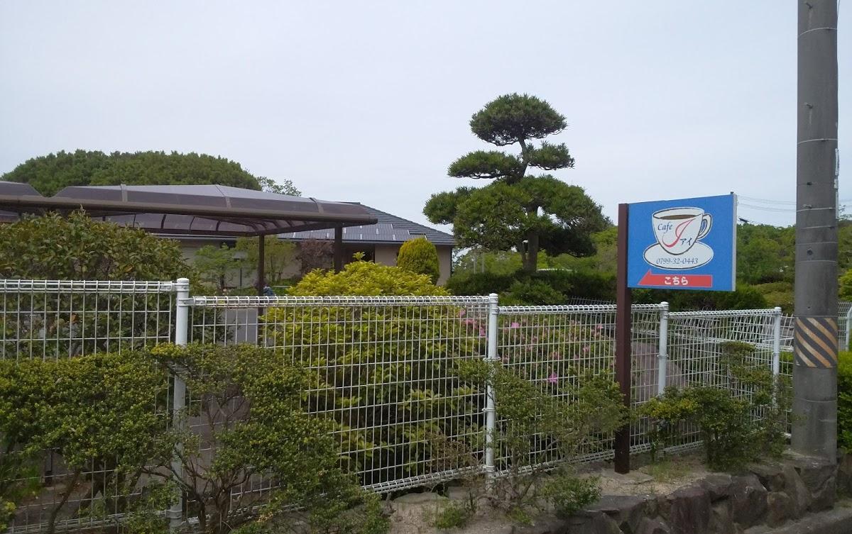 Google の写真