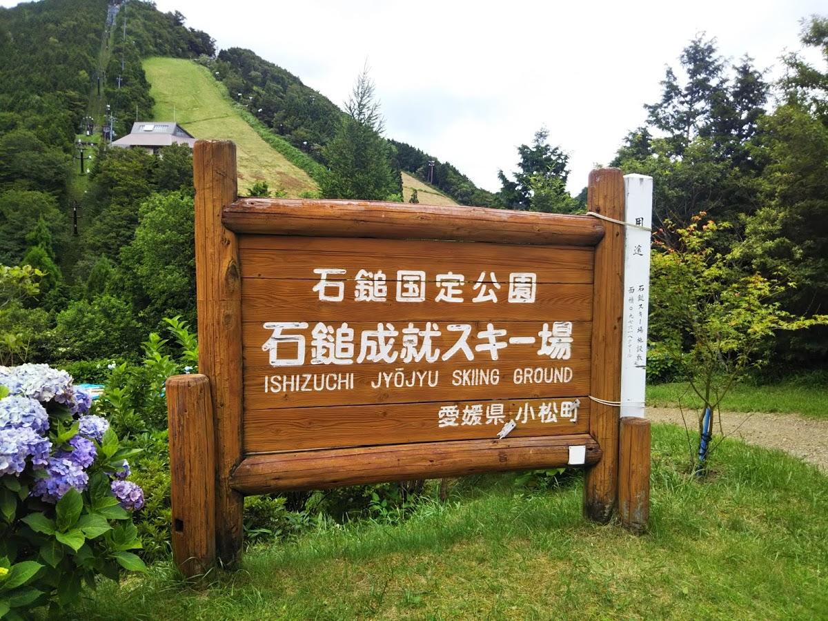 Google の写真