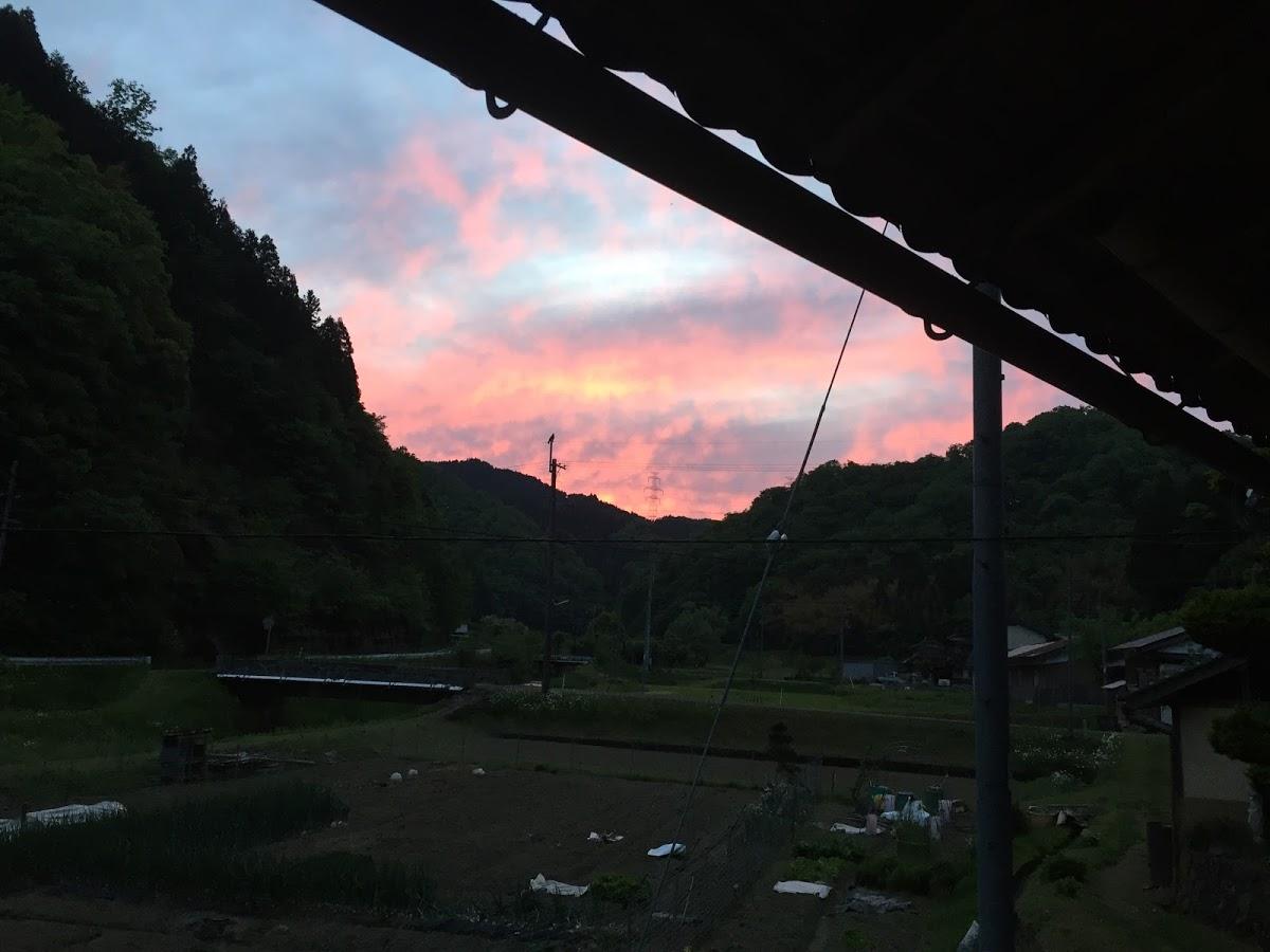 Google の写真