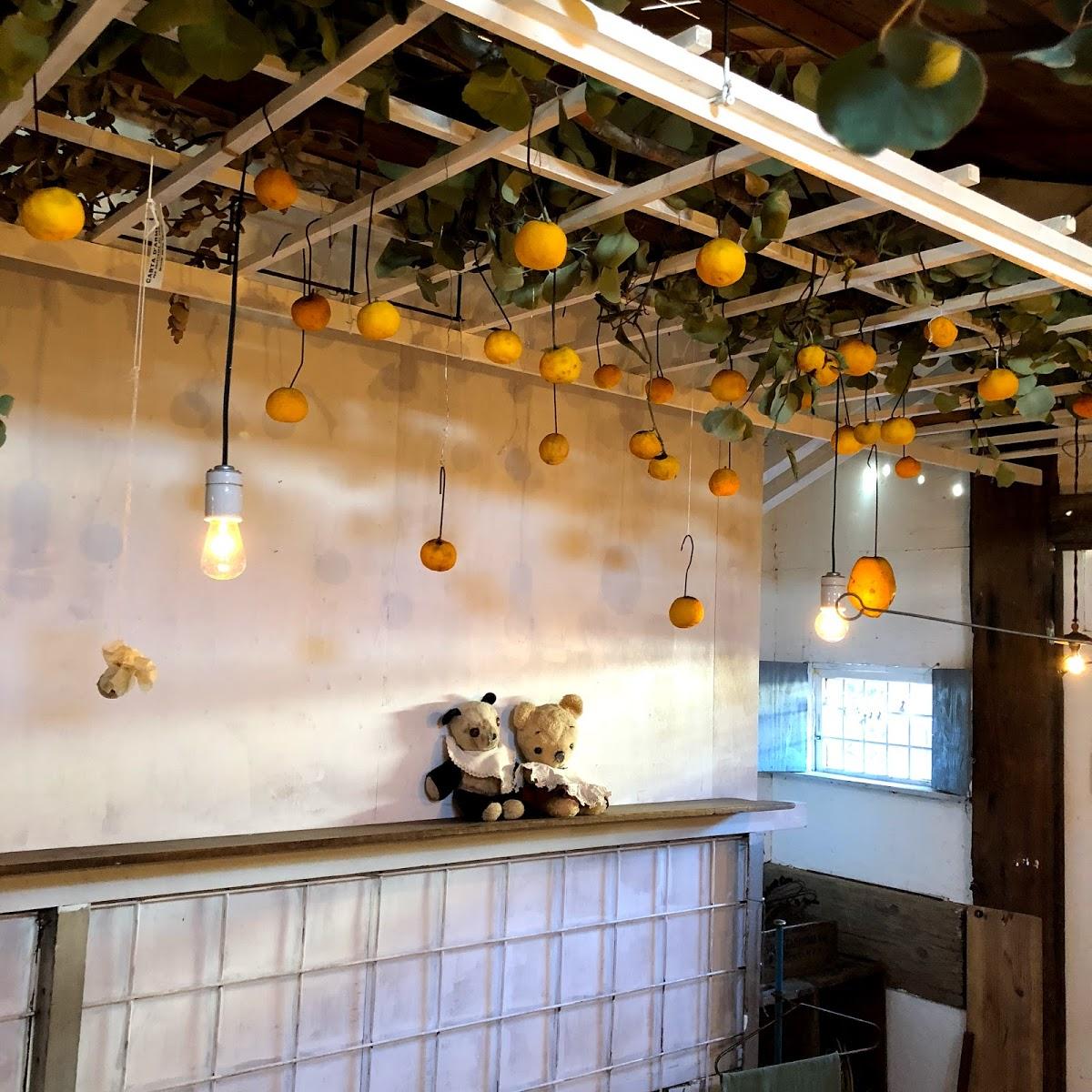 Google の写真