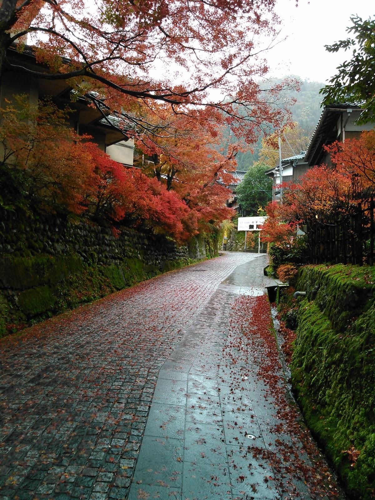 Google の写真