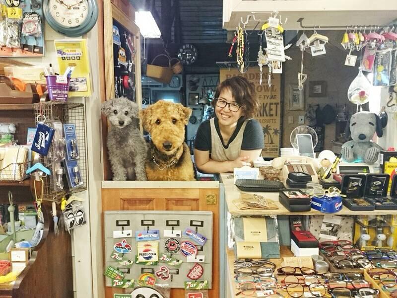 Google の写真